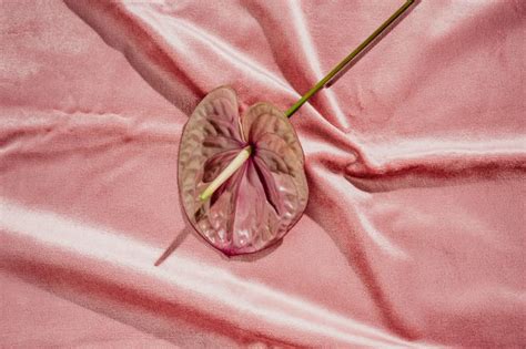 teen pusy pics|Girls guide to what a normal vulva looks like